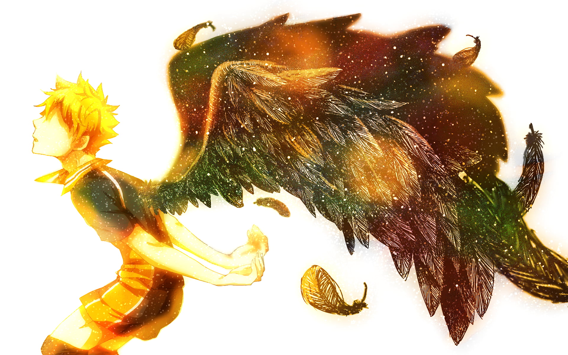 Haikyuu Hinata Wings - HD Wallpaper 