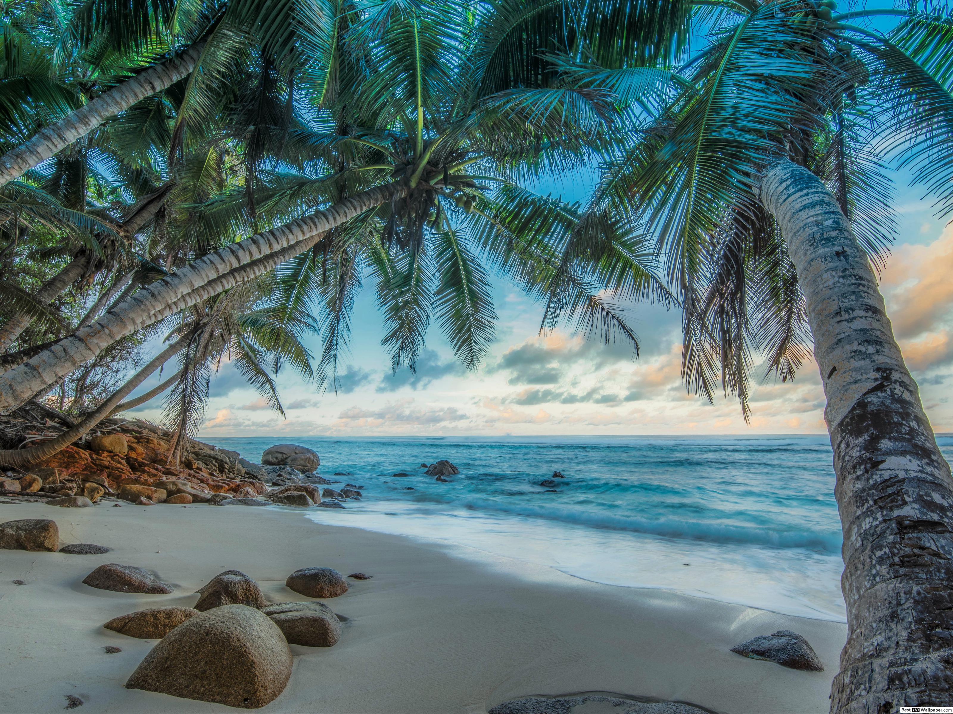 Hdr 1440 X 3040 - HD Wallpaper 