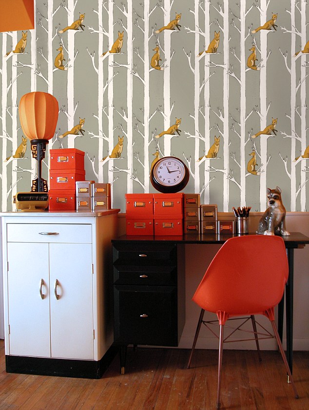 Fox - Tangerine Walls - HD Wallpaper 