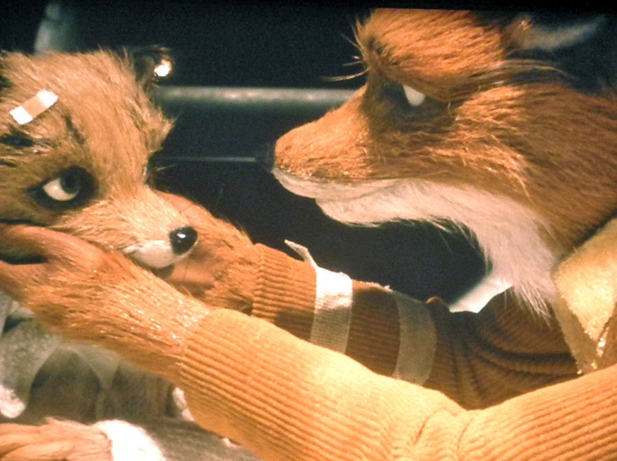 Ash I Am Glad He Was You - Fantastic Mr Fox Ash And Mr Fox - HD Wallpaper 