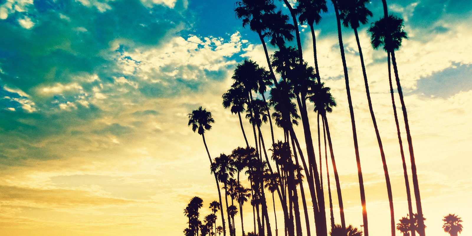 Las Angeles - HD Wallpaper 