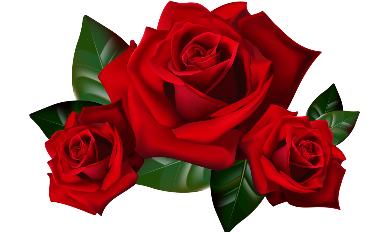 Red Roses Png Clipart Picture Hd Desktop Wallpaper - Red Roses Clip Art - HD Wallpaper 