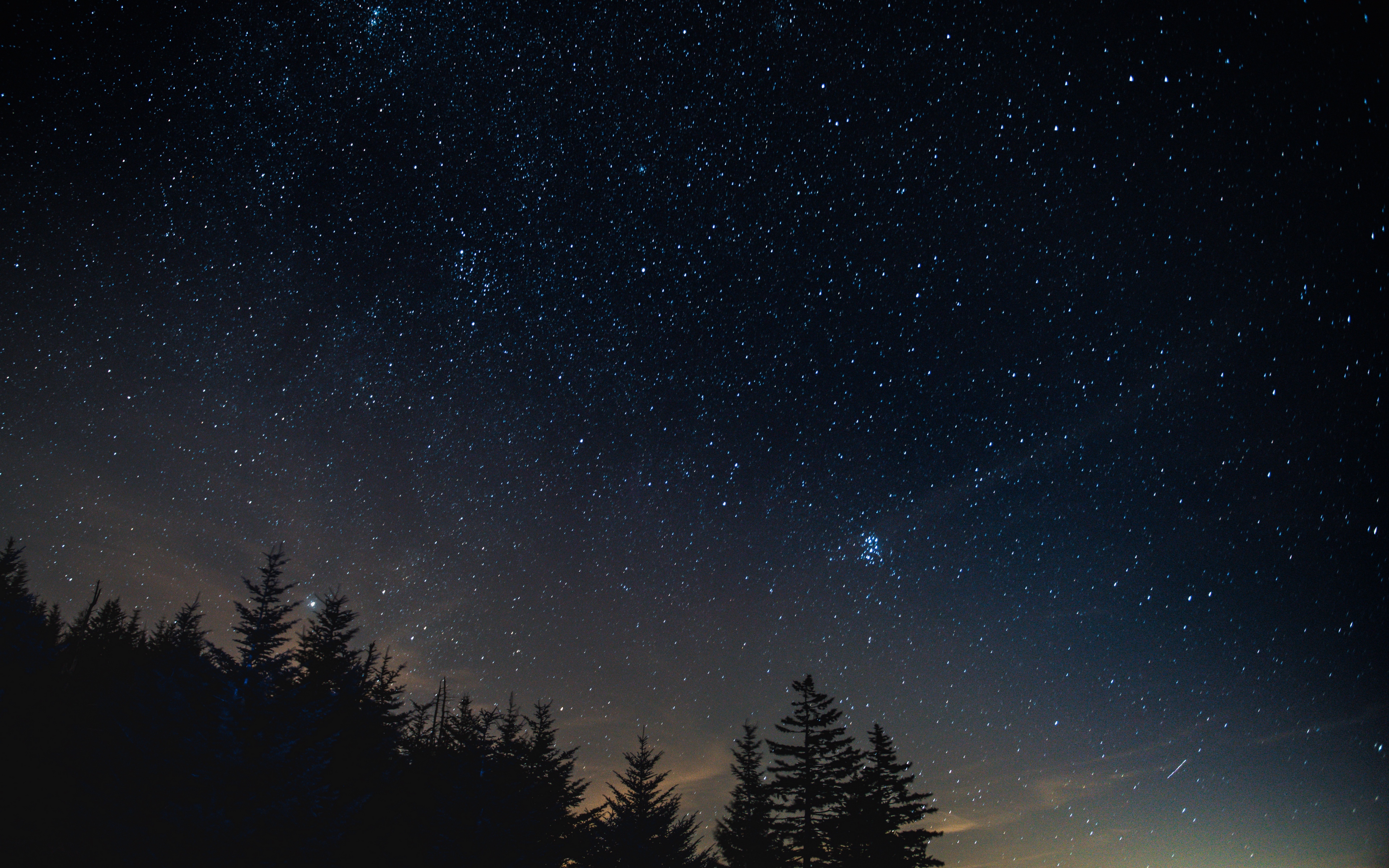 Wallpaper Starry Sky, Night, Trees, Night Landscape - HD Wallpaper 