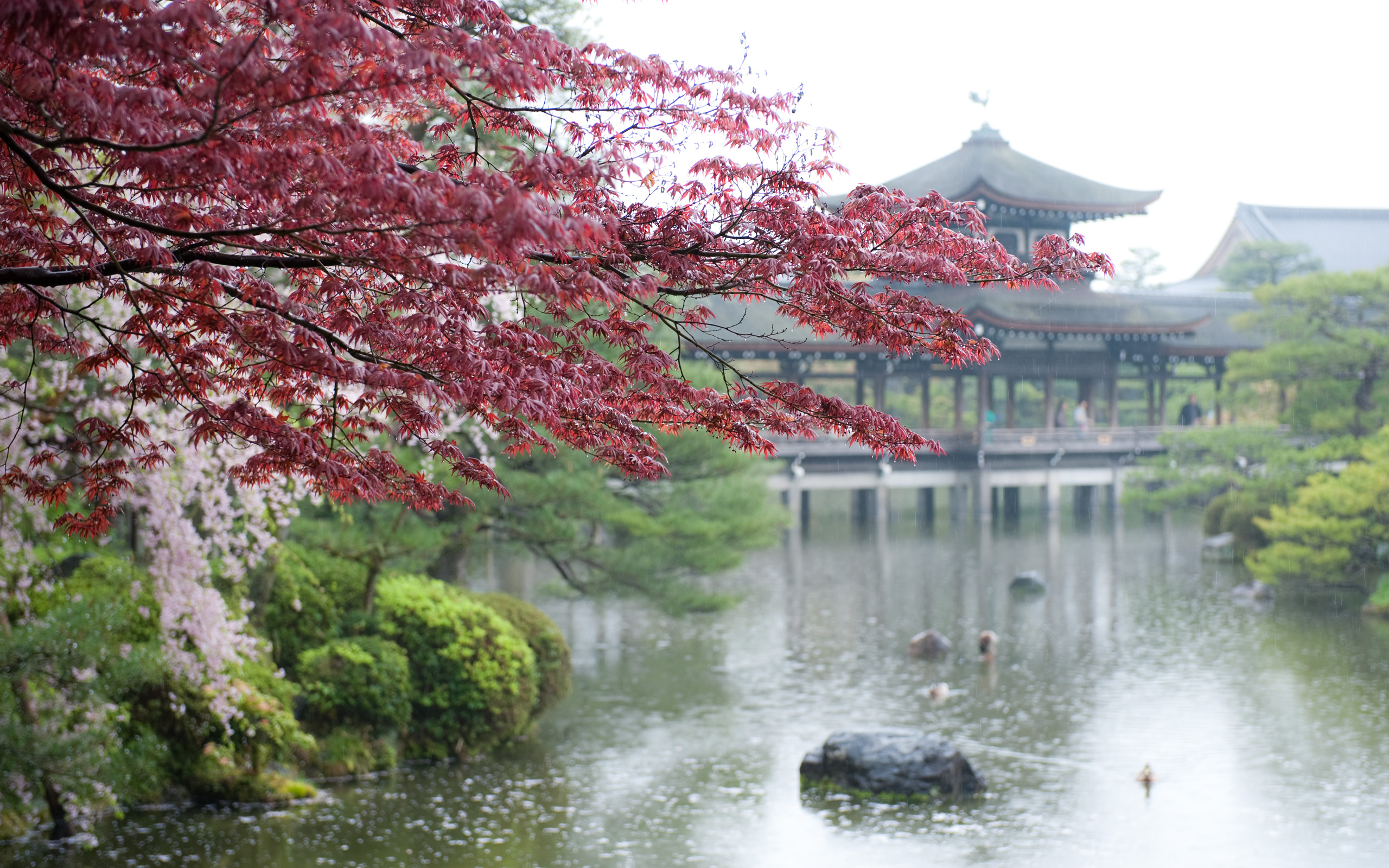 Heian Shrine - HD Wallpaper 