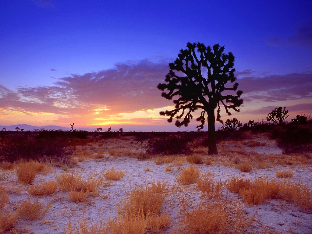 Mojave Desert Background - HD Wallpaper 