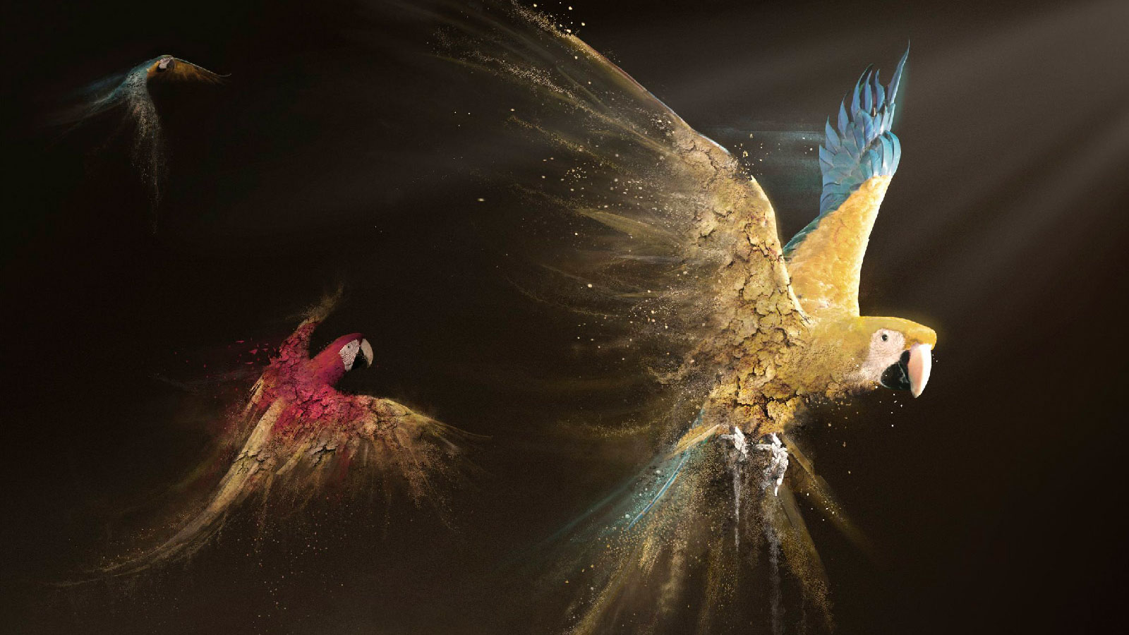 World Wildlife Fund Advertising - HD Wallpaper 