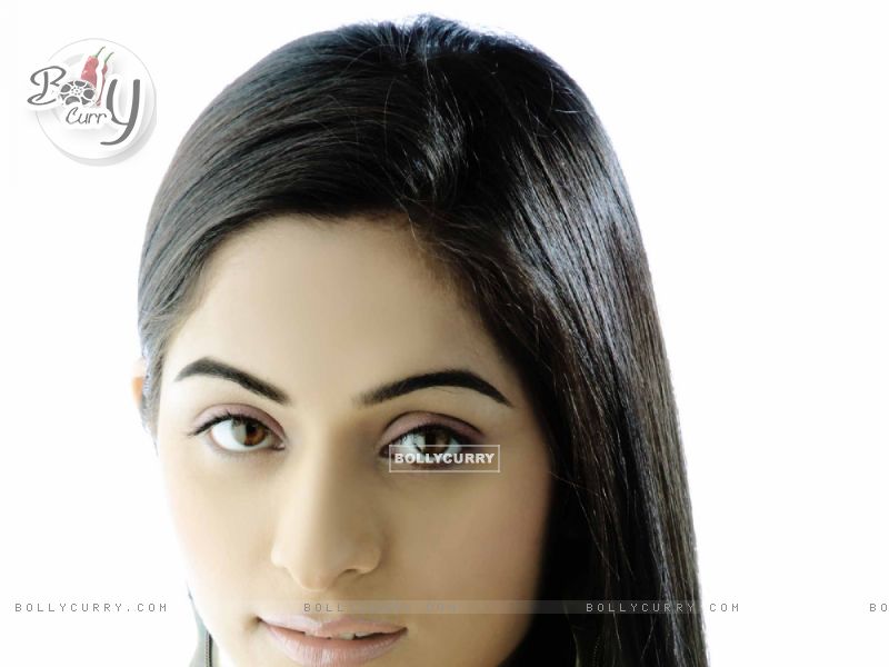 Neha Talwar Size - Bollycurry - HD Wallpaper 