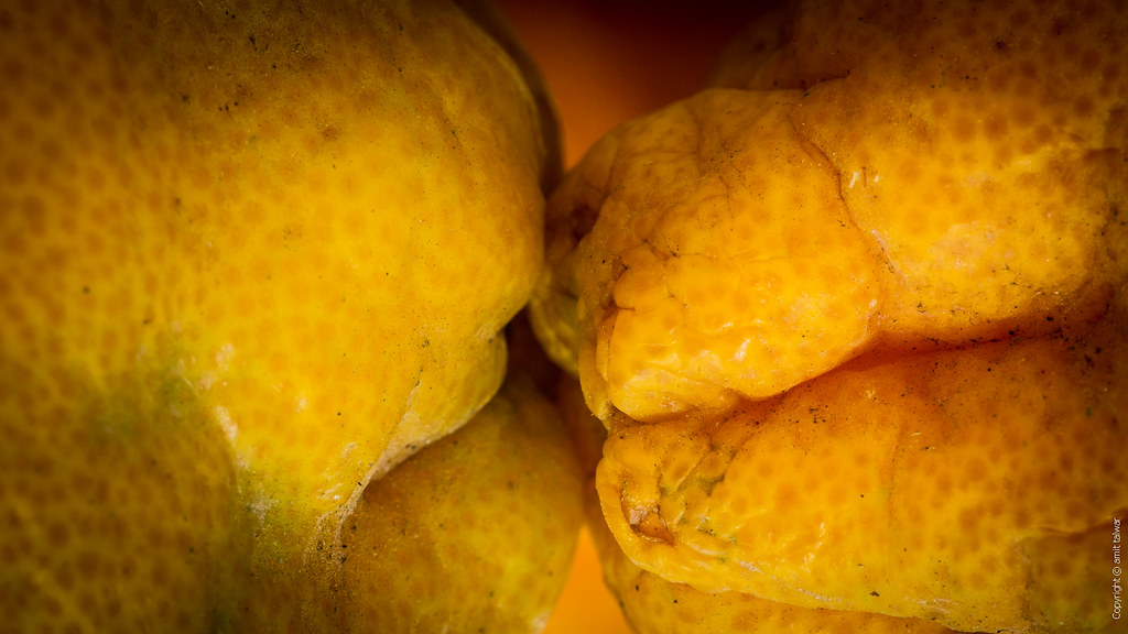 Mandarin Orange - HD Wallpaper 