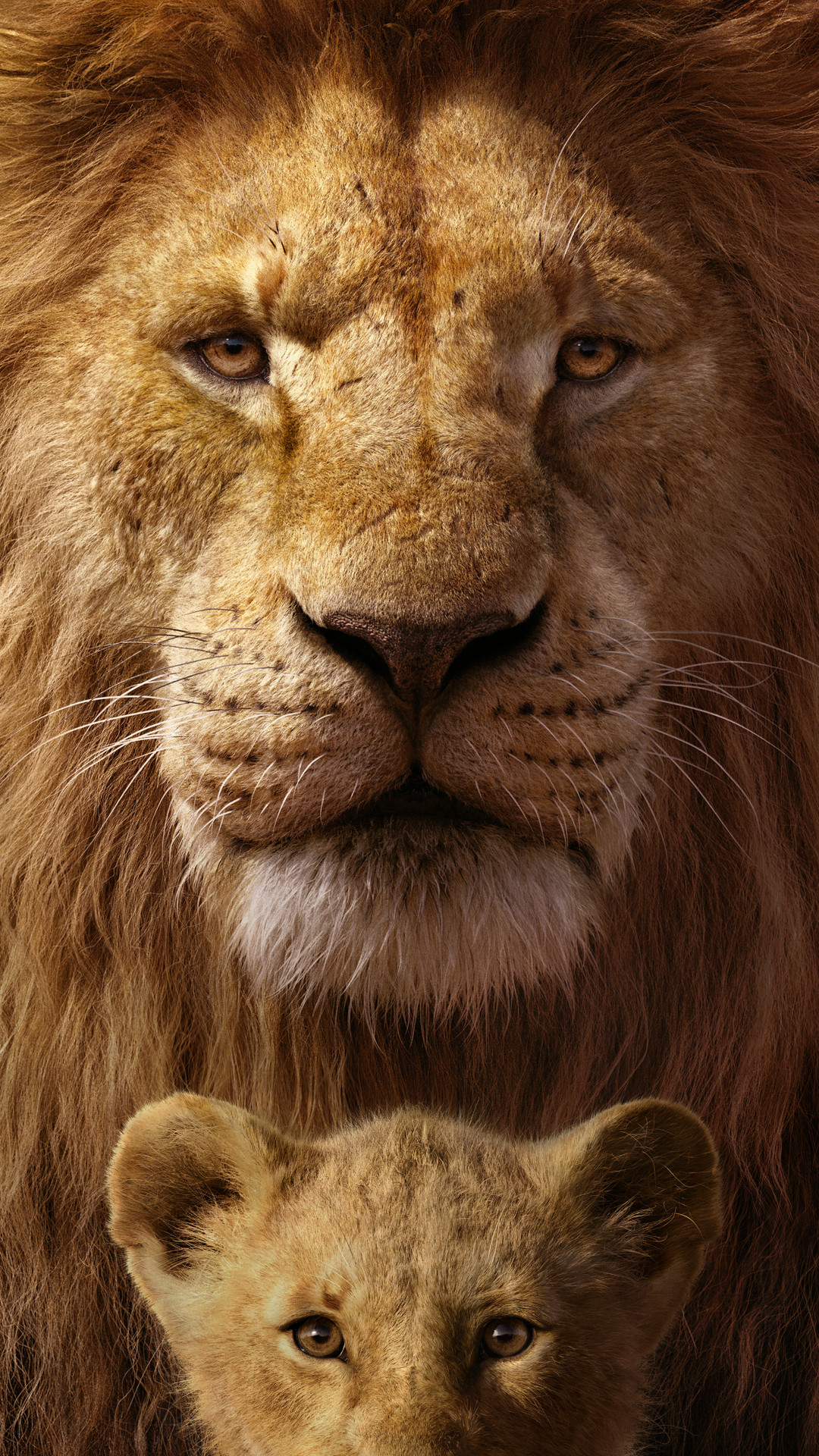 Simba And Mufasa 2019 - HD Wallpaper 