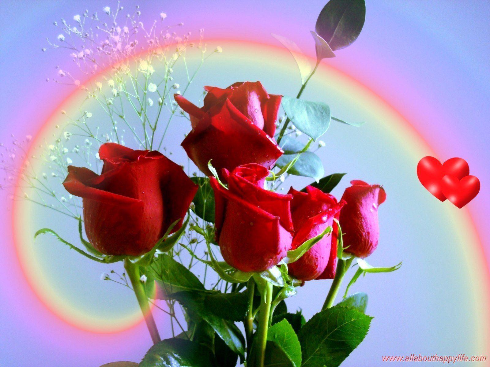 Heart, Rose - Love Wallpaper Red Rose - HD Wallpaper 