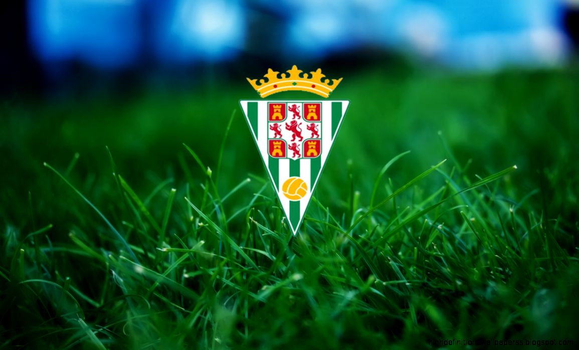 Football Club Newcastle United Logo Wallpaper 8331 - Green Grass Background To Edit - HD Wallpaper 