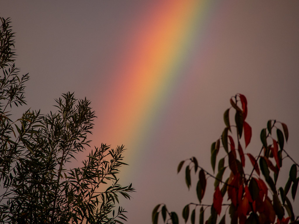 Rainbow - HD Wallpaper 