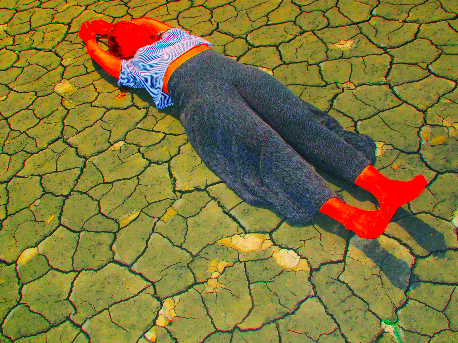 Genetikk Wallpaper - HD Wallpaper 