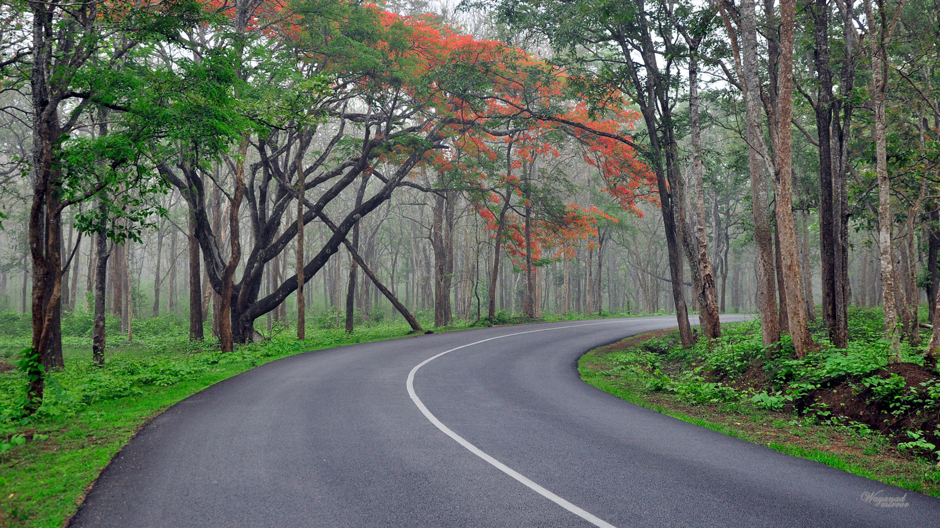 Hd Images Of Wayanad - HD Wallpaper 