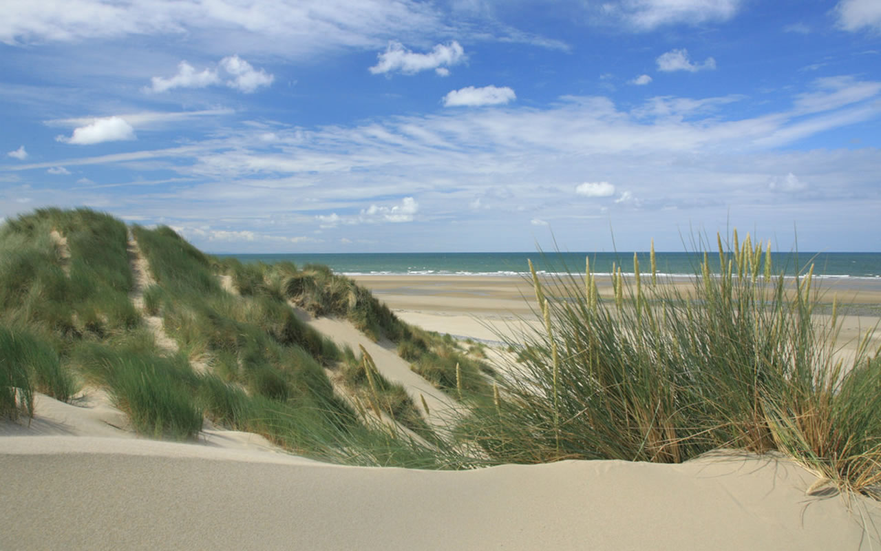 Beaches And Sand Dunes - HD Wallpaper 