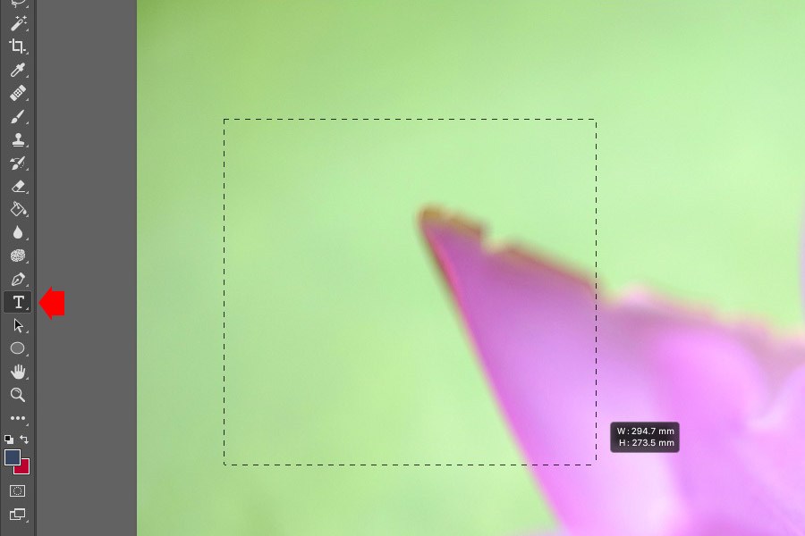 Graphics Software - HD Wallpaper 