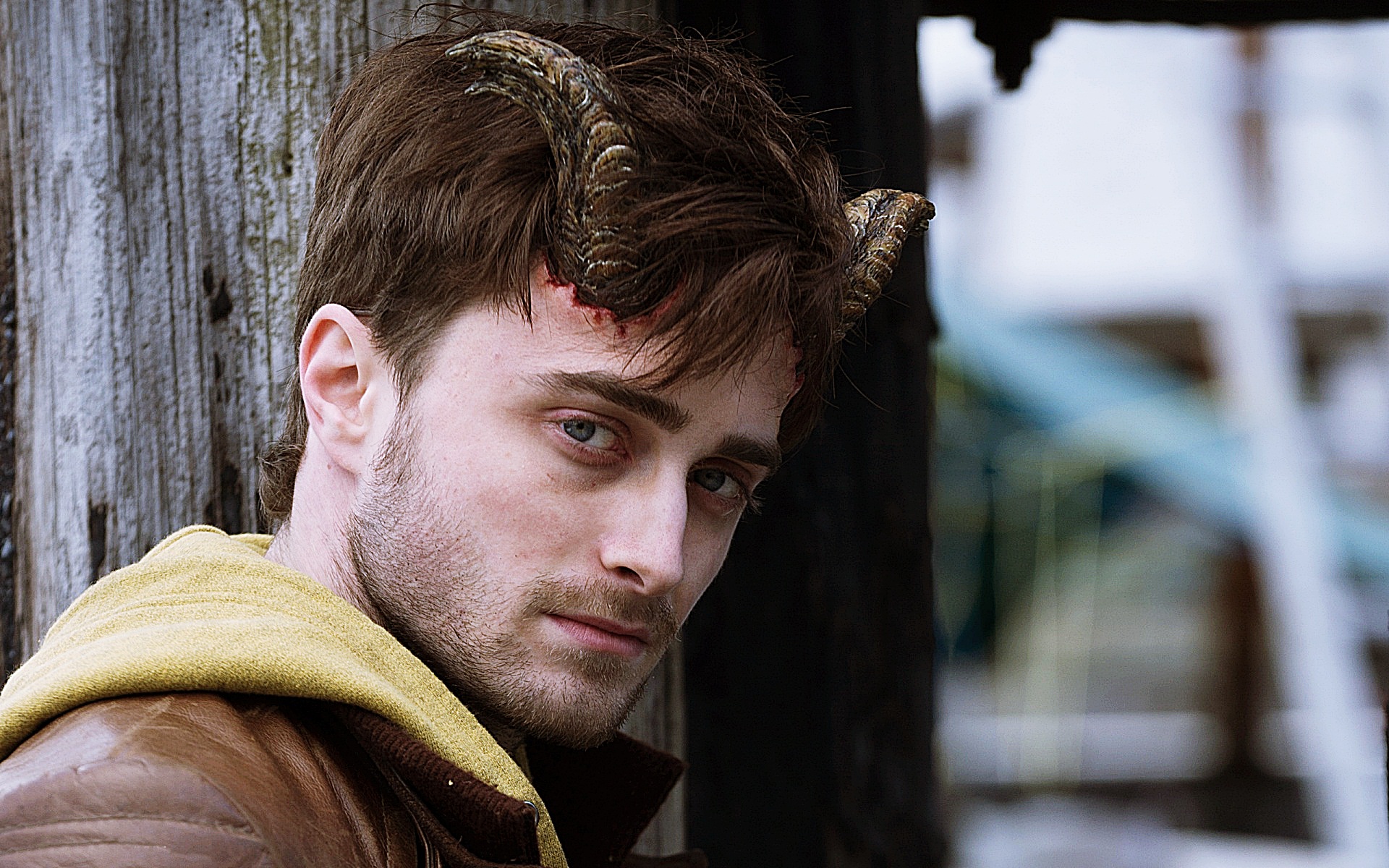 Daniel Radcliffe 2013 - HD Wallpaper 