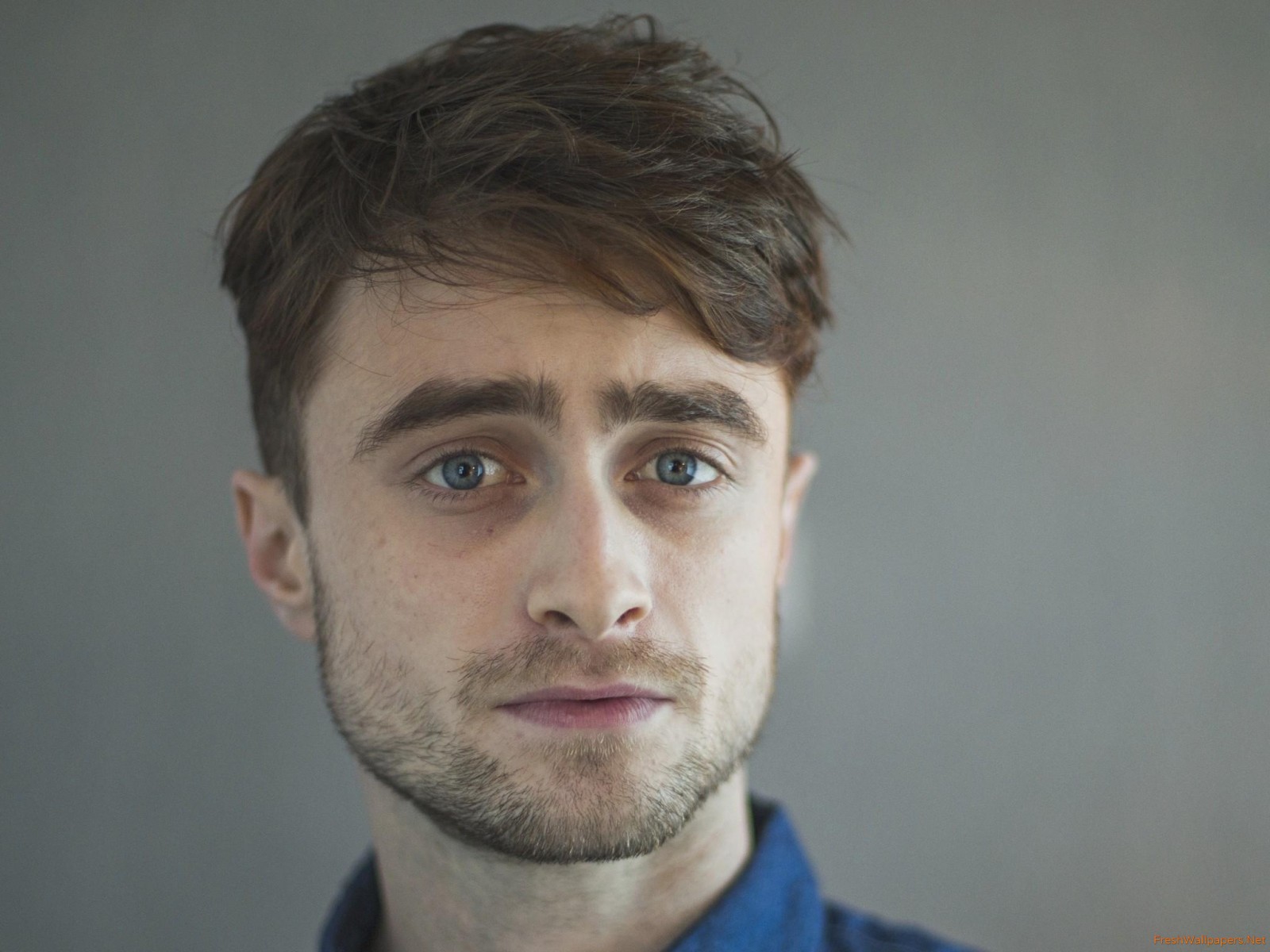 Beast Of Burden Daniel Radcliffe - HD Wallpaper 