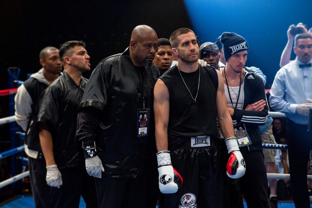 Southpaw Jake Gyllenhaal - HD Wallpaper 