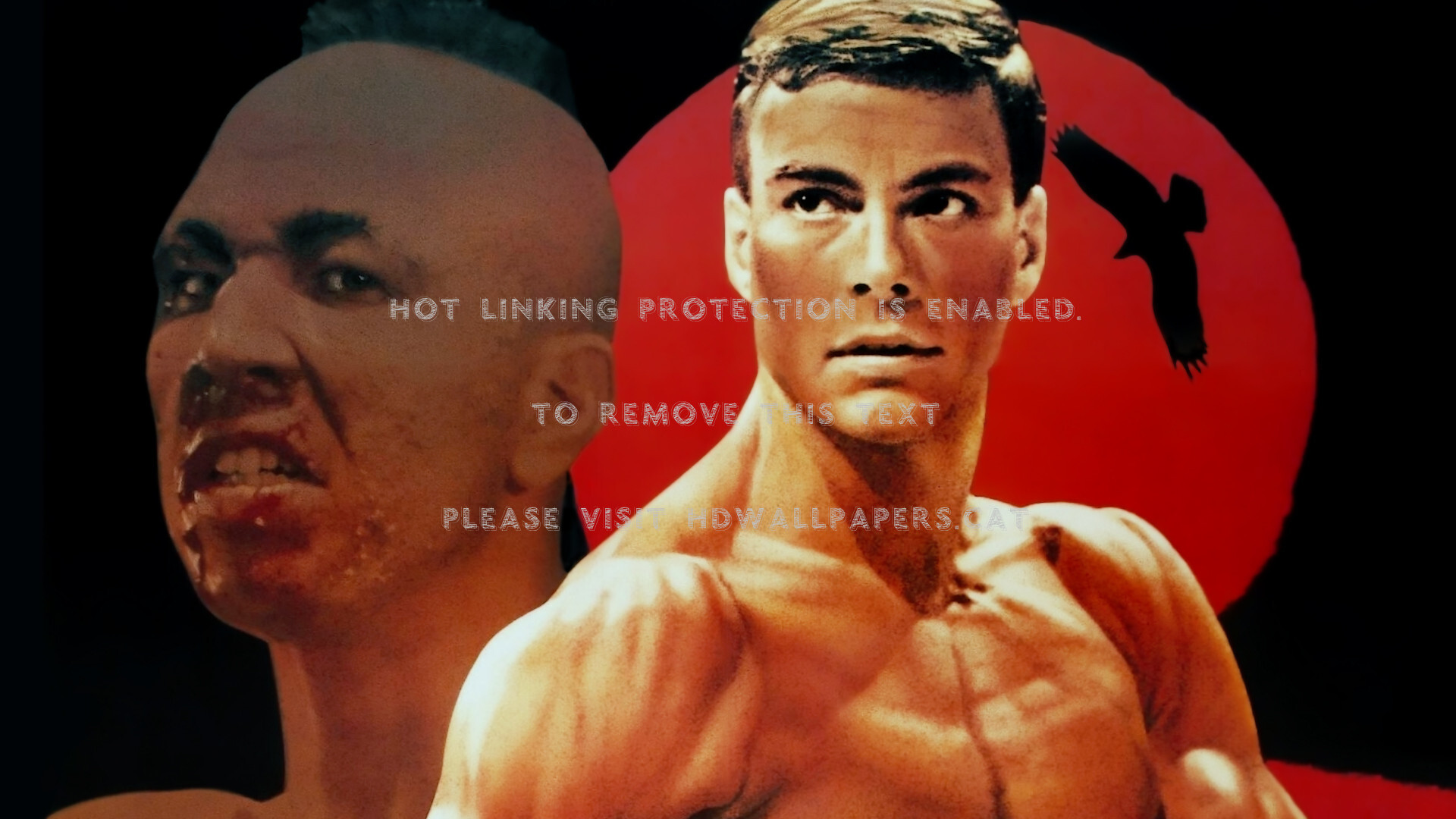 Kickboxer Tong Po Movie Van Damme Kickboxer Jean Claude Van Damme 1920x1080 Wallpaper Teahub Io
