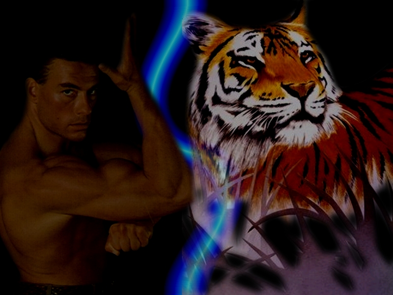 Jean Claude Van Damme Wallpapers - HD Wallpaper 