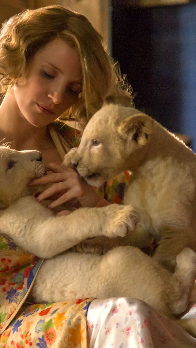 The Zookeeper S Wife, Jessica Chastain, Lion, Best - Zookeeper's Wife - HD Wallpaper 