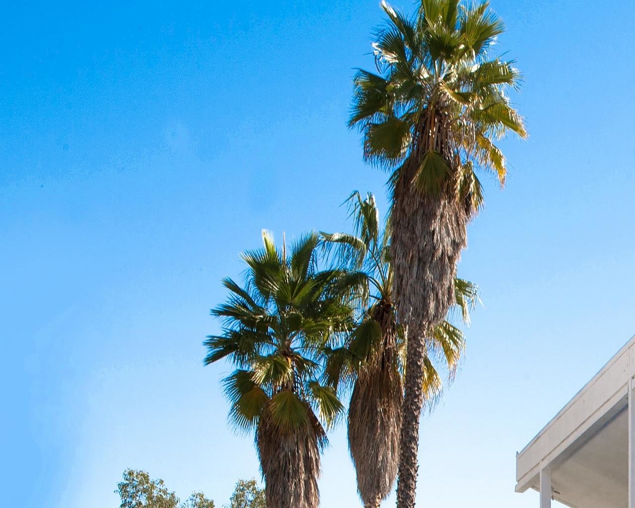 High Resolution Isla Fisher Hd Wallpaper Id - Isla Fisher Beach Bum - HD Wallpaper 