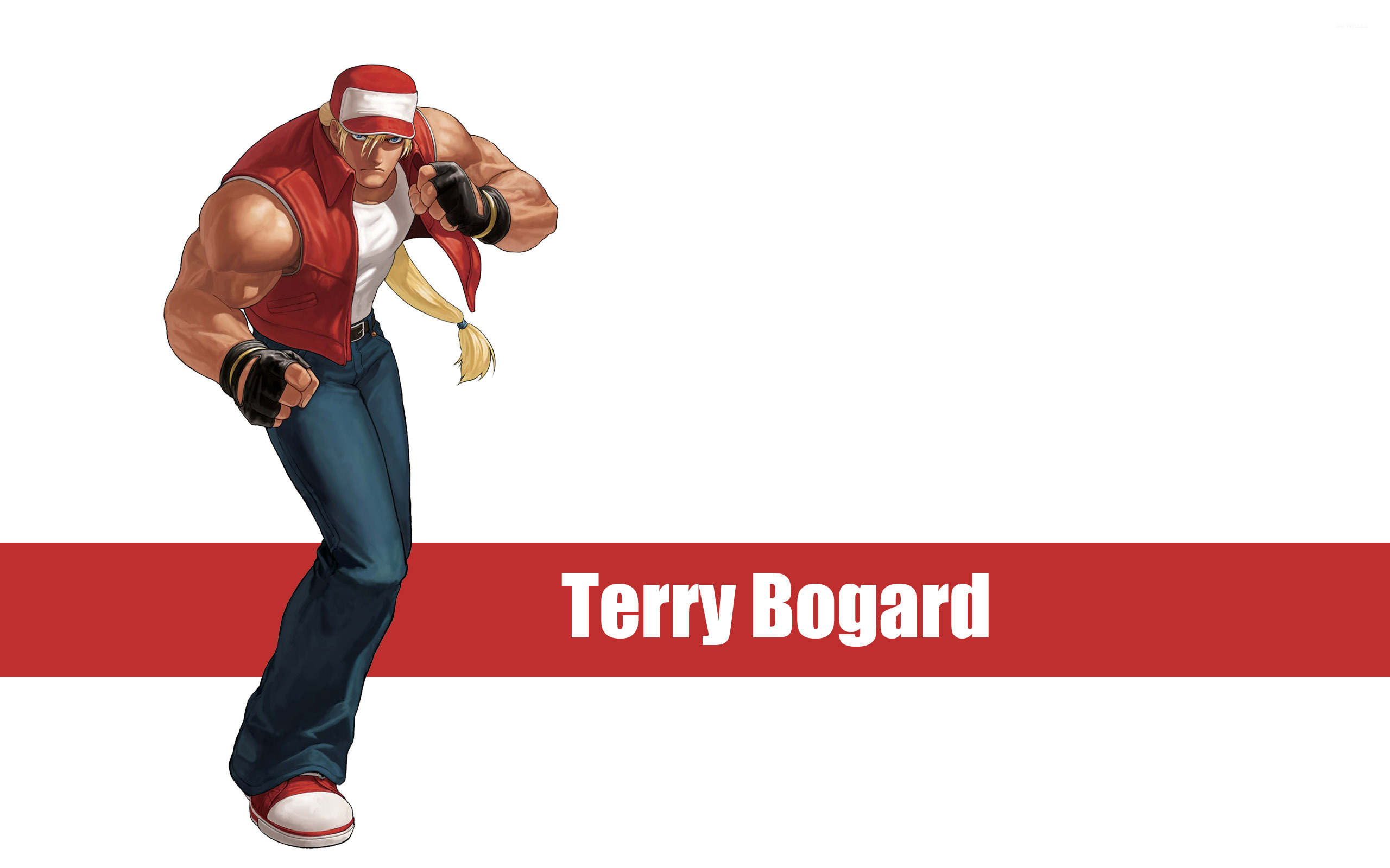 King Of Fighter Terry - HD Wallpaper 
