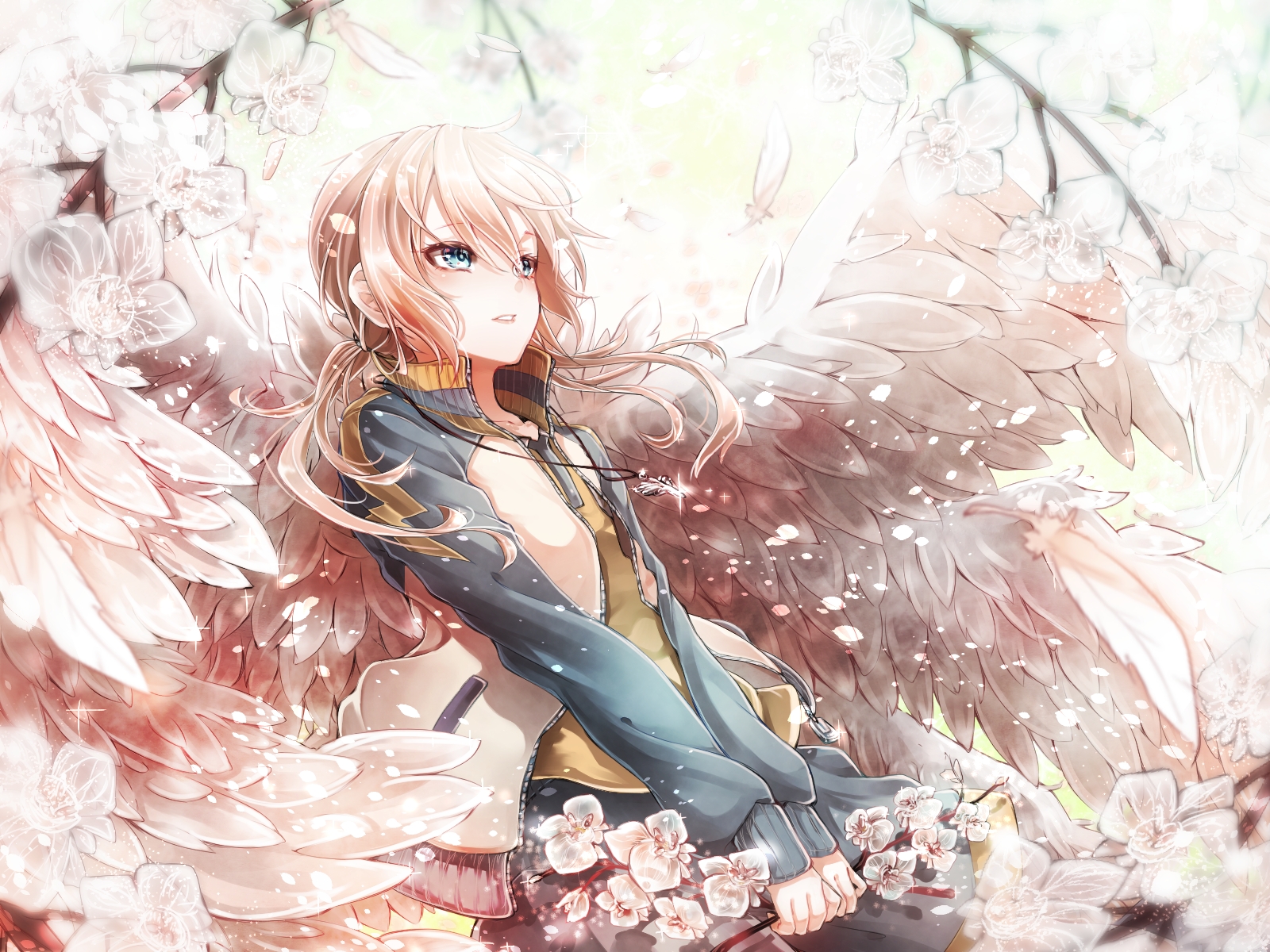 Anime Angel Girl - HD Wallpaper 