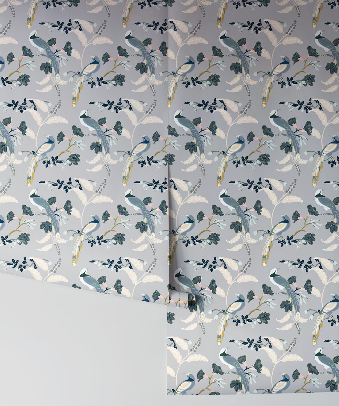 Flock - HD Wallpaper 