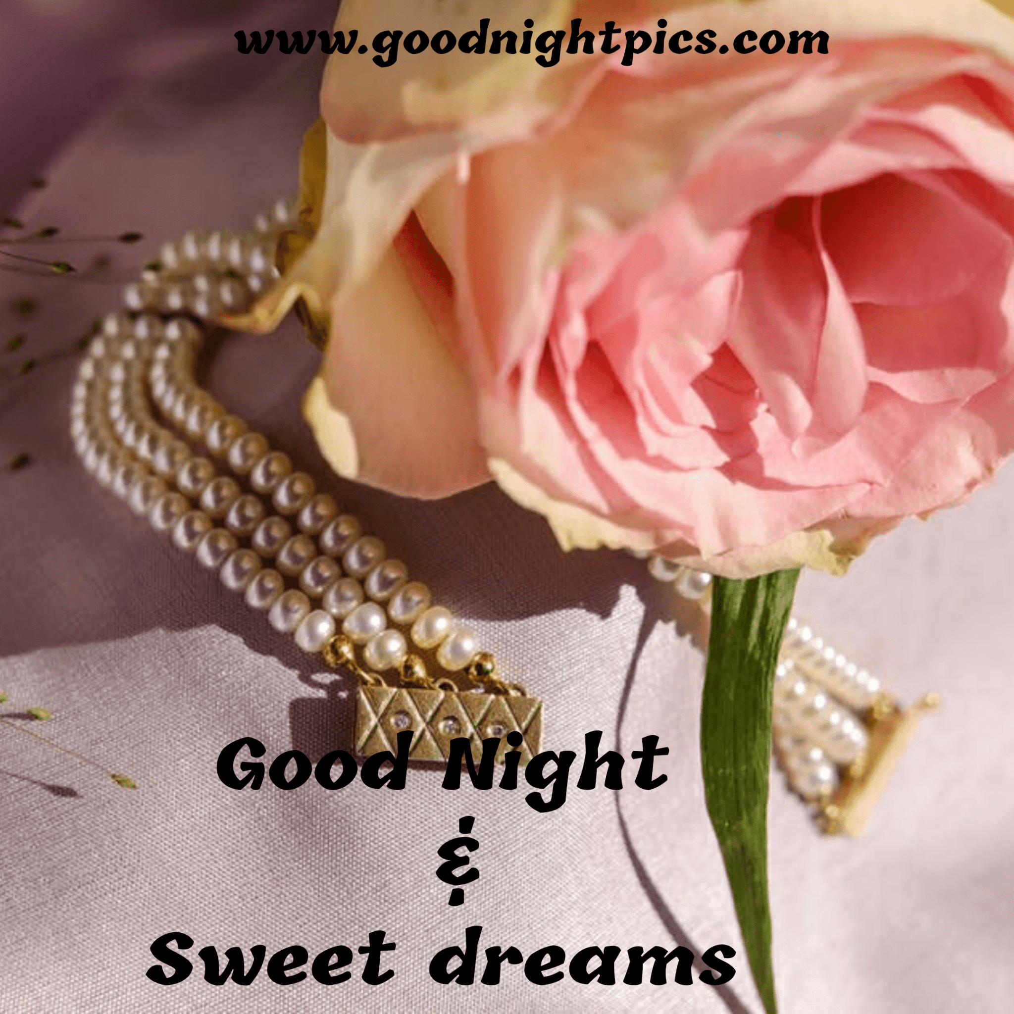 Good Night Pearl Images - Good Night Pearl - HD Wallpaper 