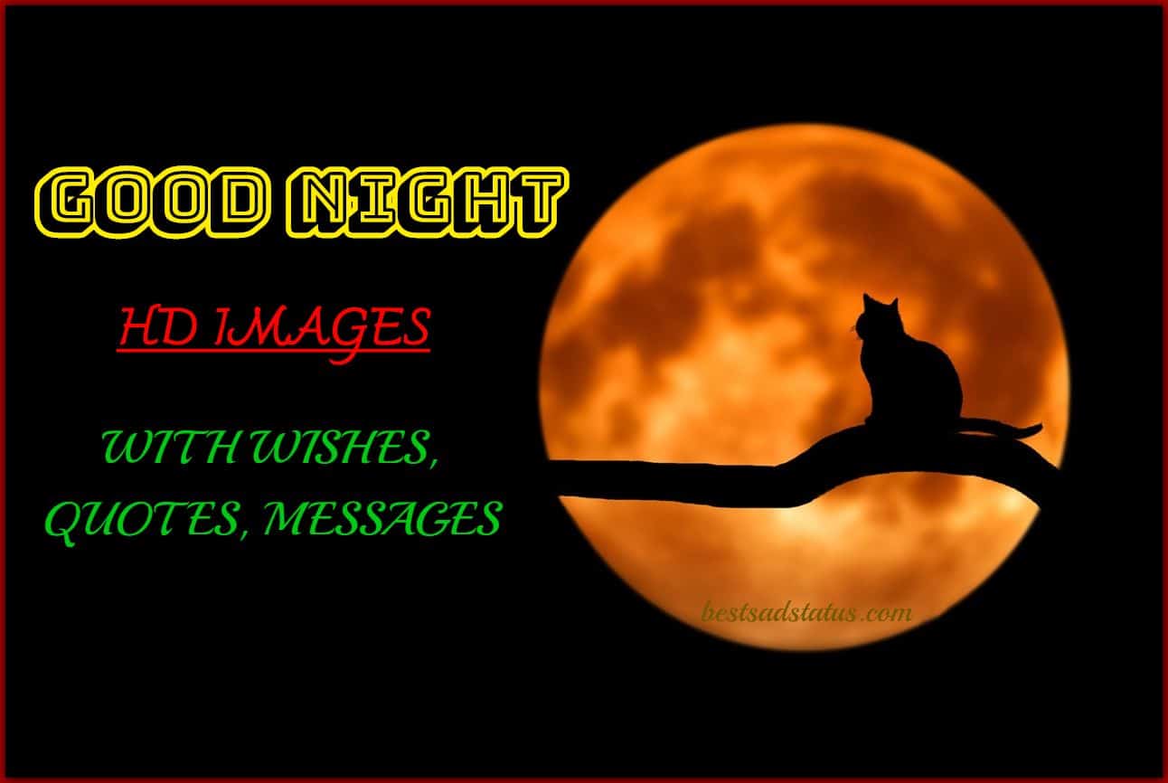 Good Night Images - Silhouette - HD Wallpaper 