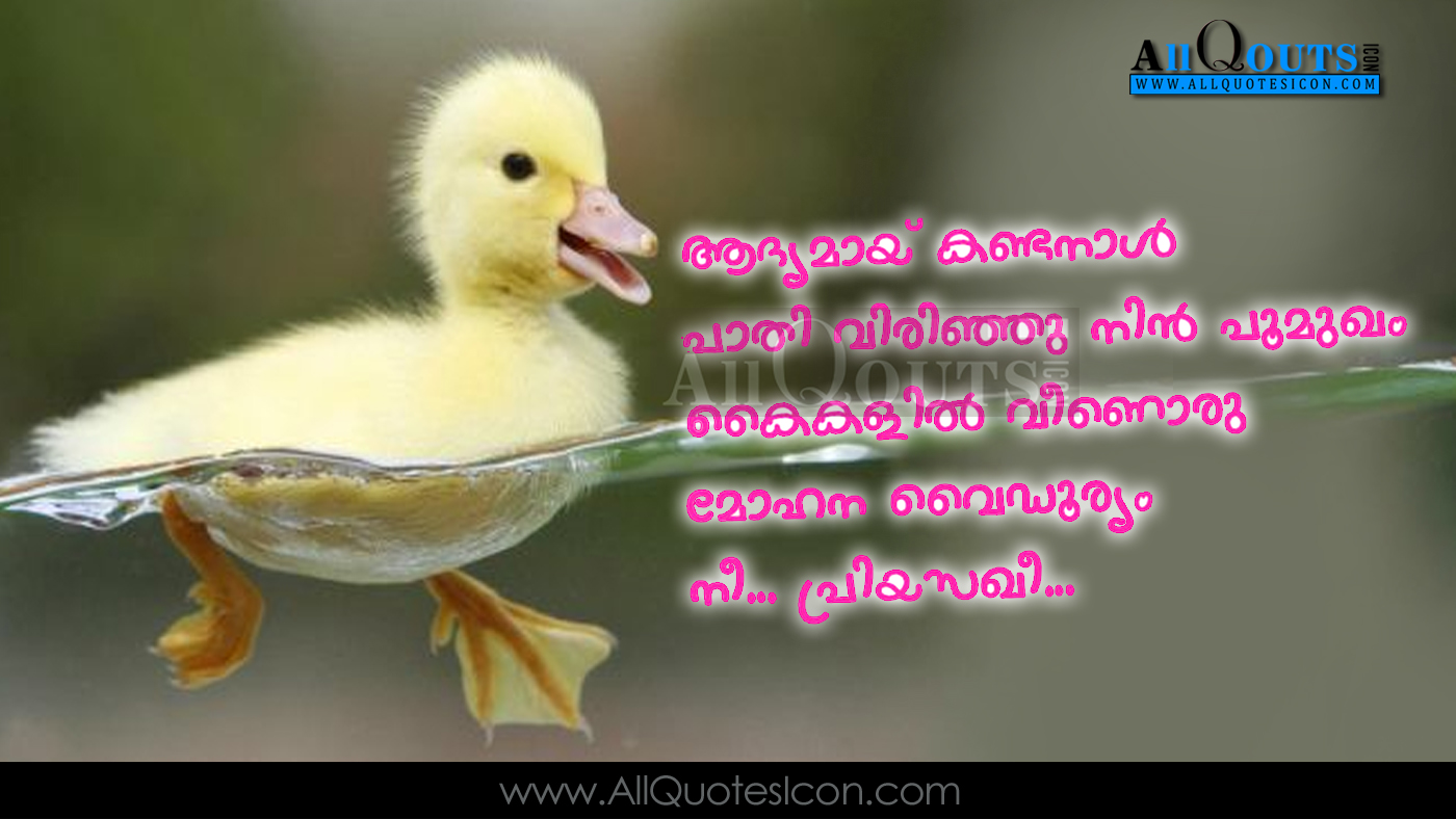 Beautiful Malayalam Love Romantic Quotes With Images - Swimming Webbed Feet Duck - HD Wallpaper 