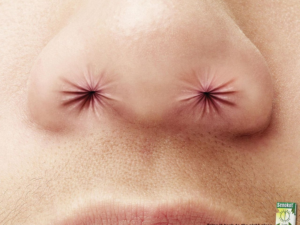 Close-up - HD Wallpaper 