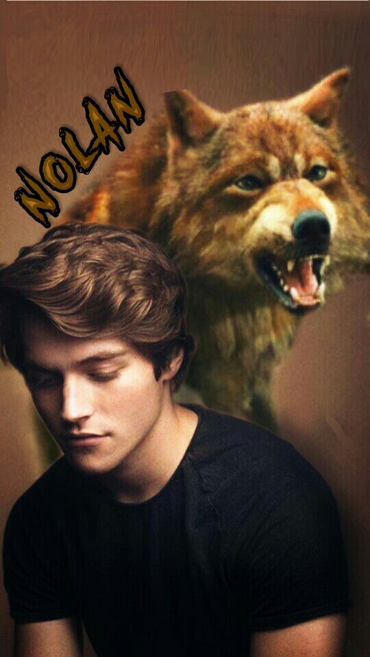 User Uploaded Image - Jacob Black As A Werewolf - HD Wallpaper 