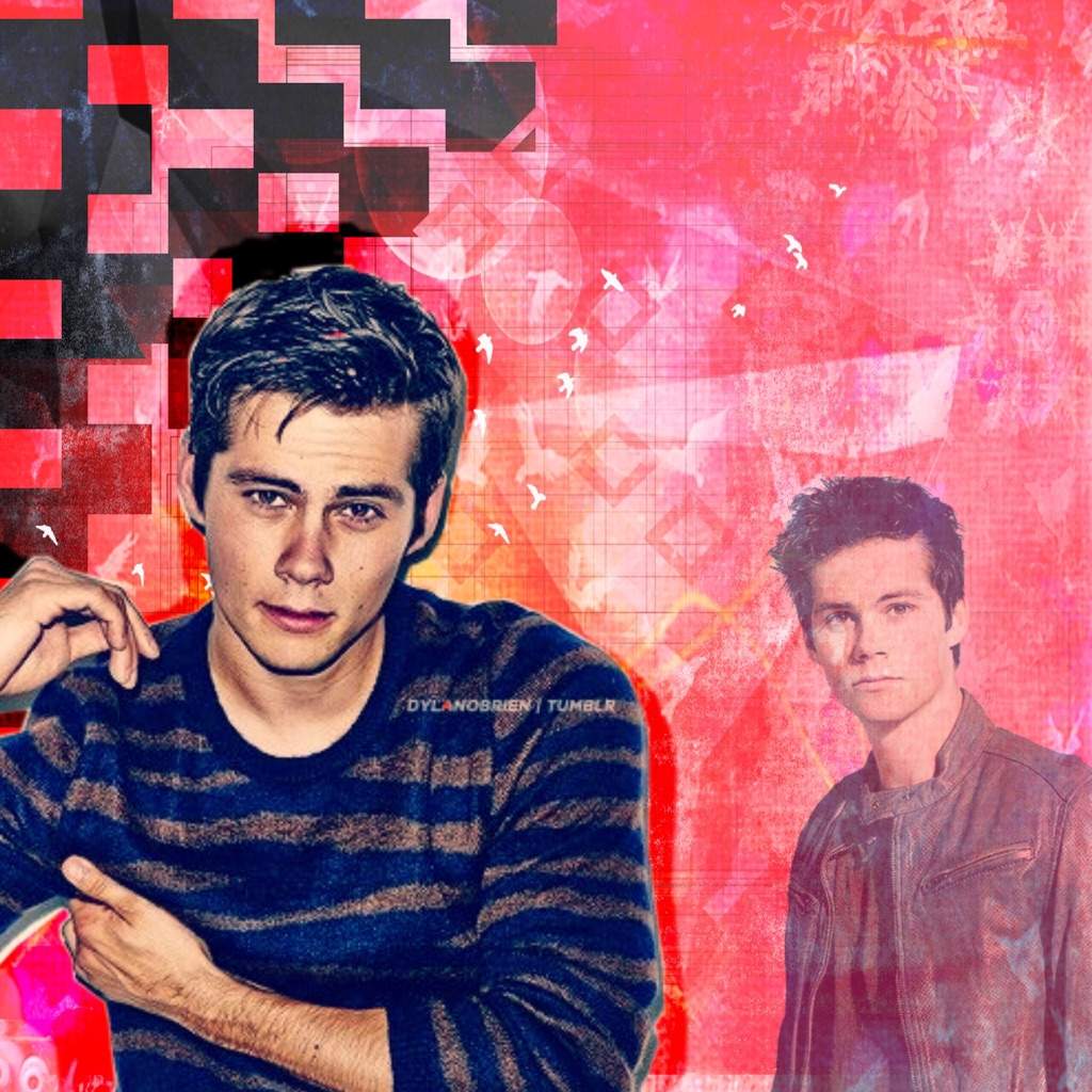 User Uploaded Image - Dylan O'brien - HD Wallpaper 