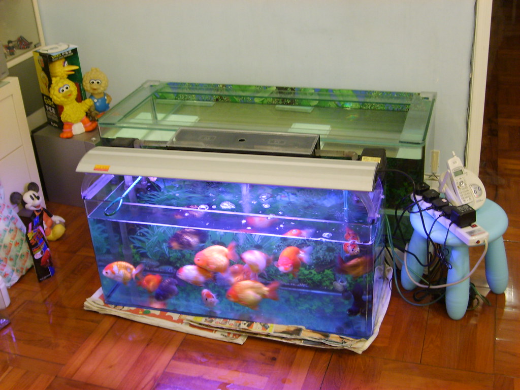 Baby Toys - HD Wallpaper 