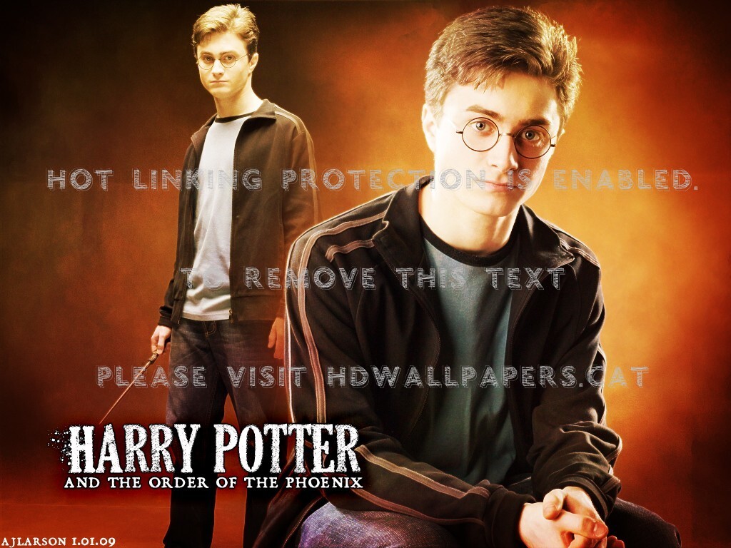 Harry Potter Daniel Radcliffe Entertainment - Gentleman - HD Wallpaper 