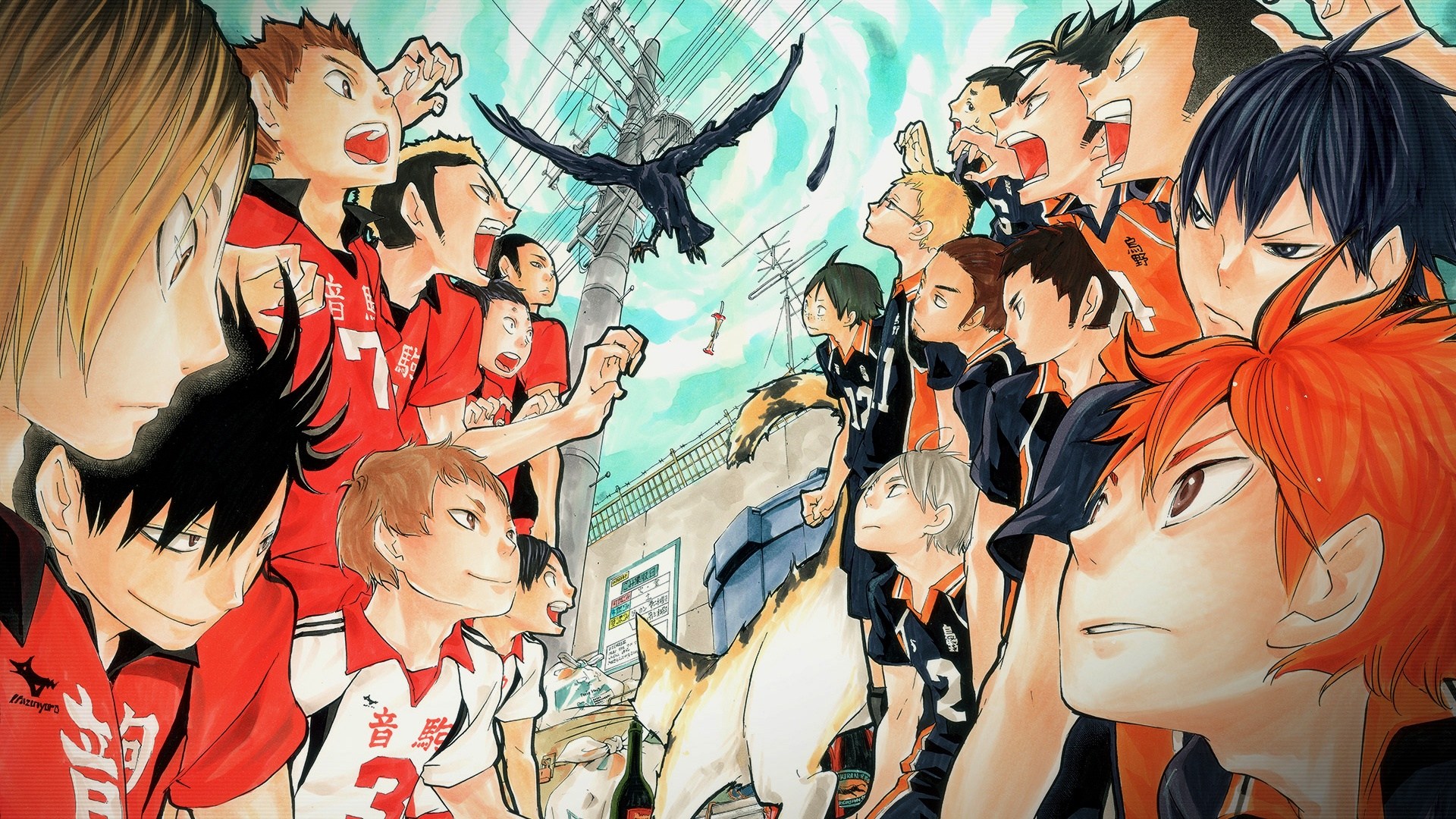 Haikyuu Karasuno Vs Nekoma - HD Wallpaper 