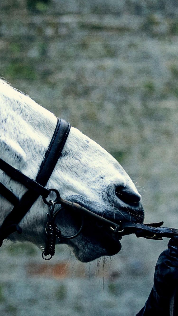 Tom Hardy In Taboo - HD Wallpaper 