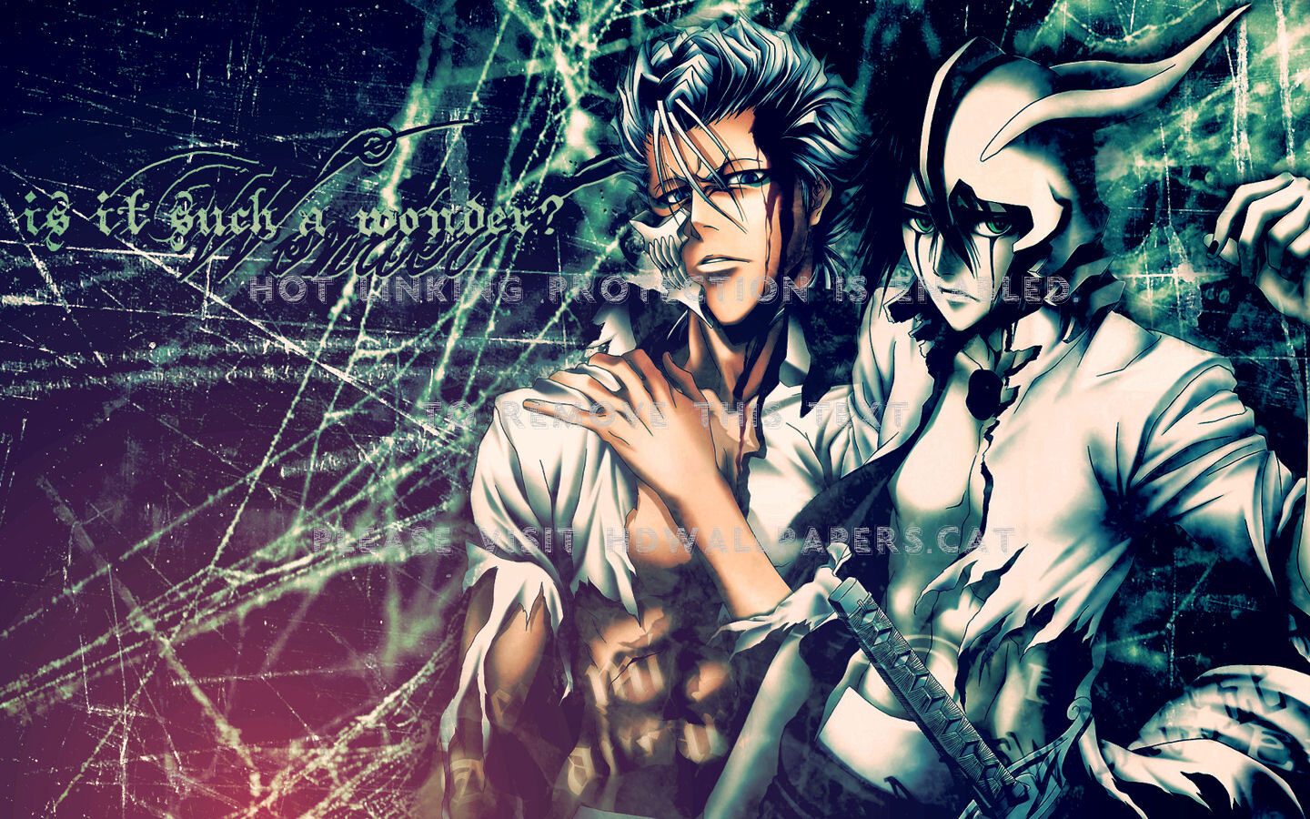 Grimmjow & Ulquiorra Bleach Anime Espada - Ulquiorra Cifer - HD Wallpaper 