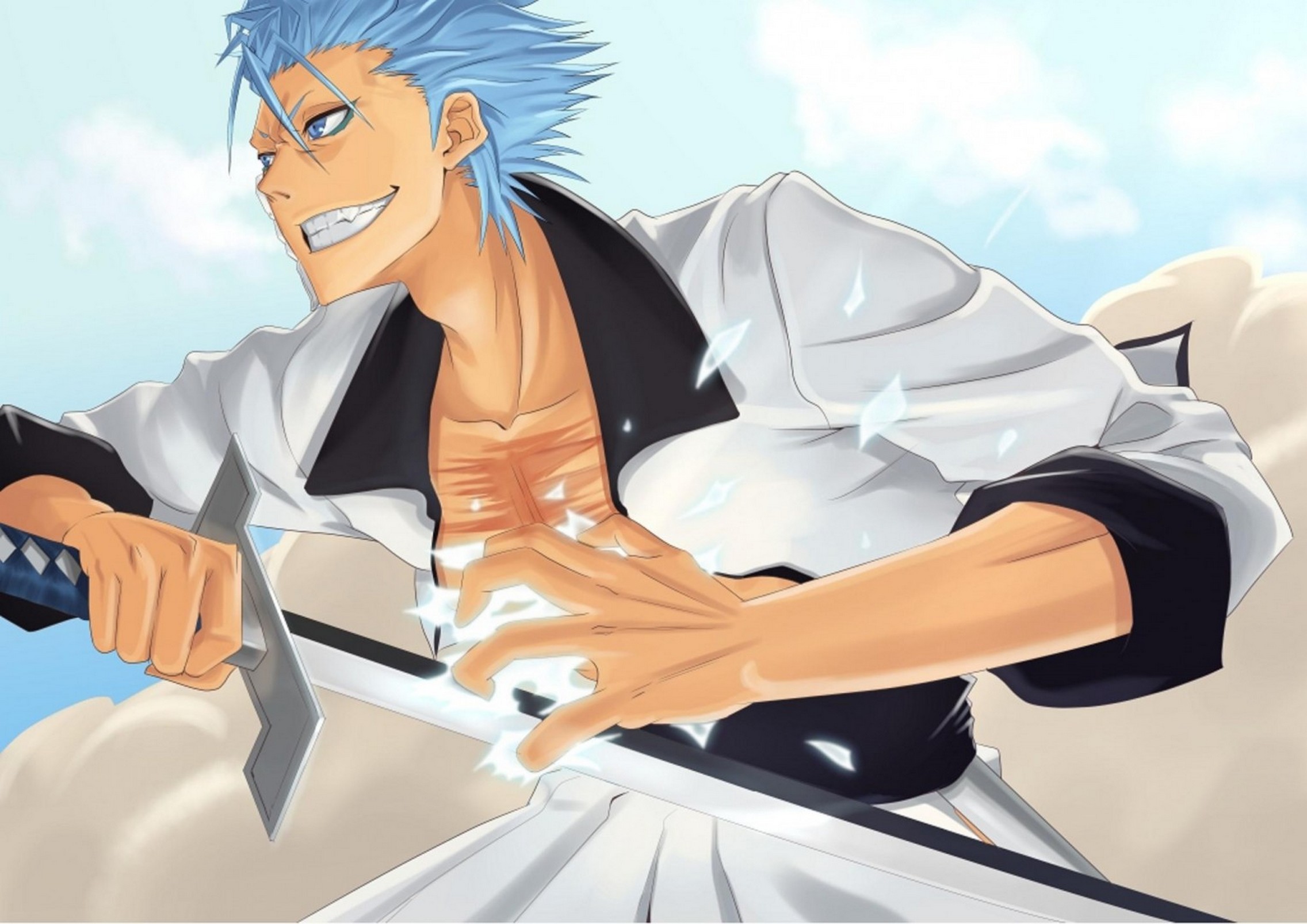 Grimmjow Jeagerjaques Wallpaper Hd 6 Desktop Background - Grimmjow Jaegerjaquez - HD Wallpaper 