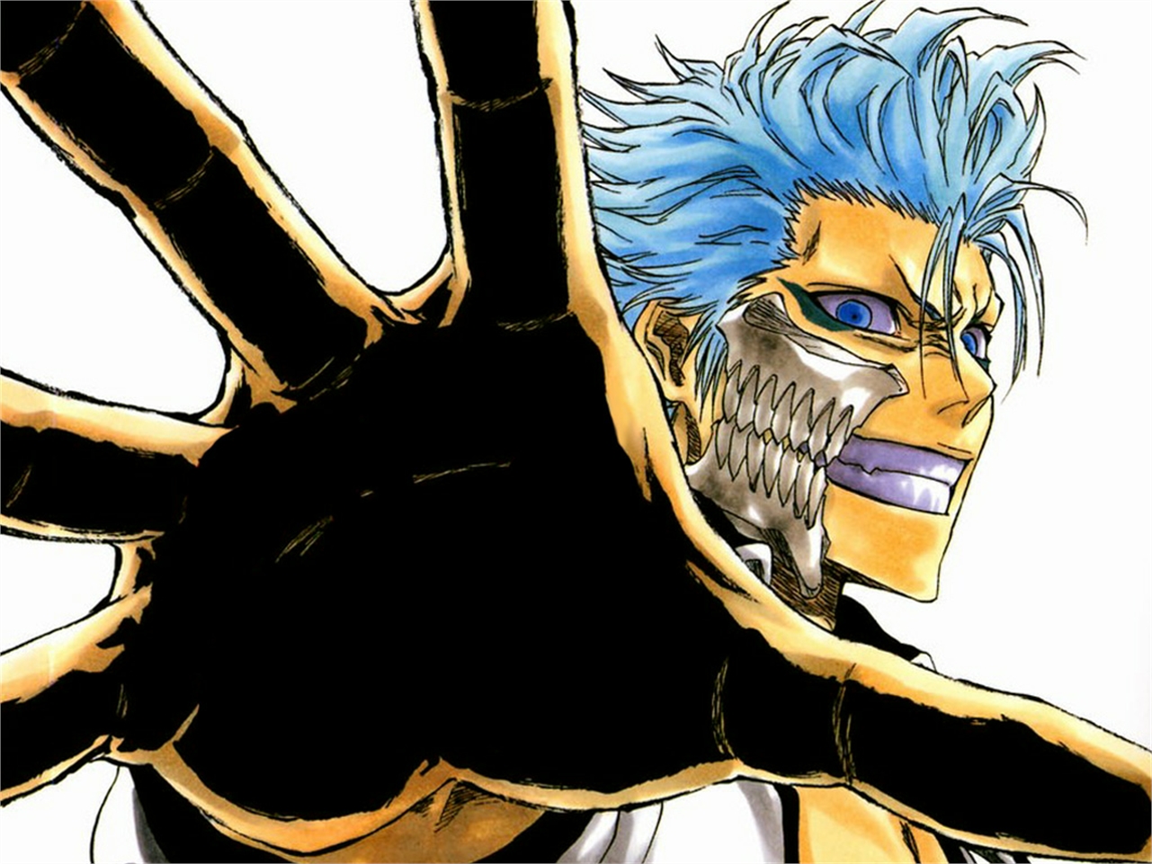 Bleach Books - HD Wallpaper 