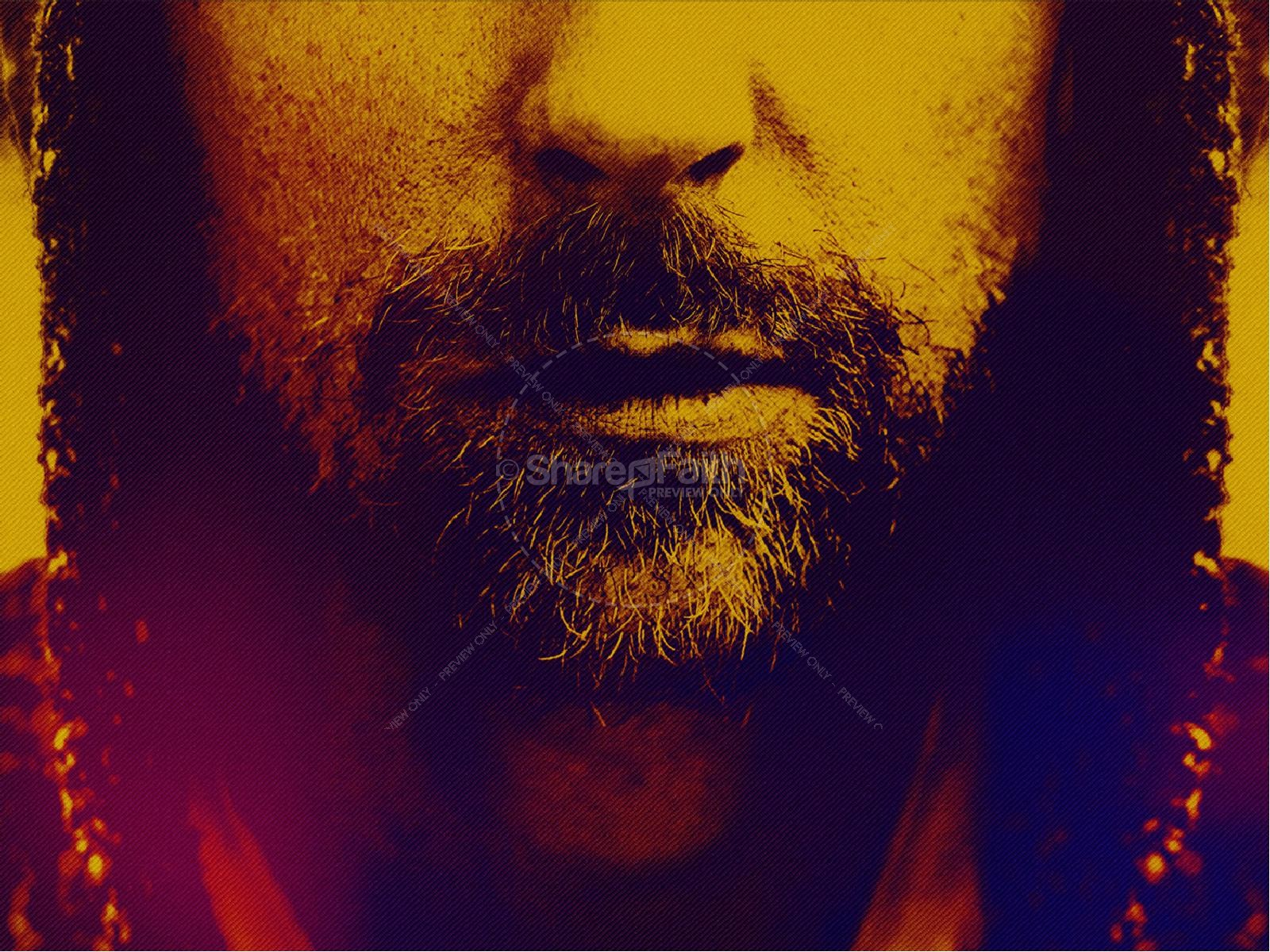 Horse - HD Wallpaper 