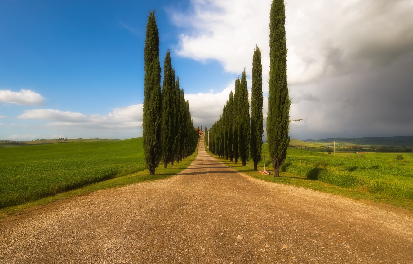 Photo Wallpaper Italy, Toscana, Beautiful Road - Beautiful Italy Road - HD Wallpaper 