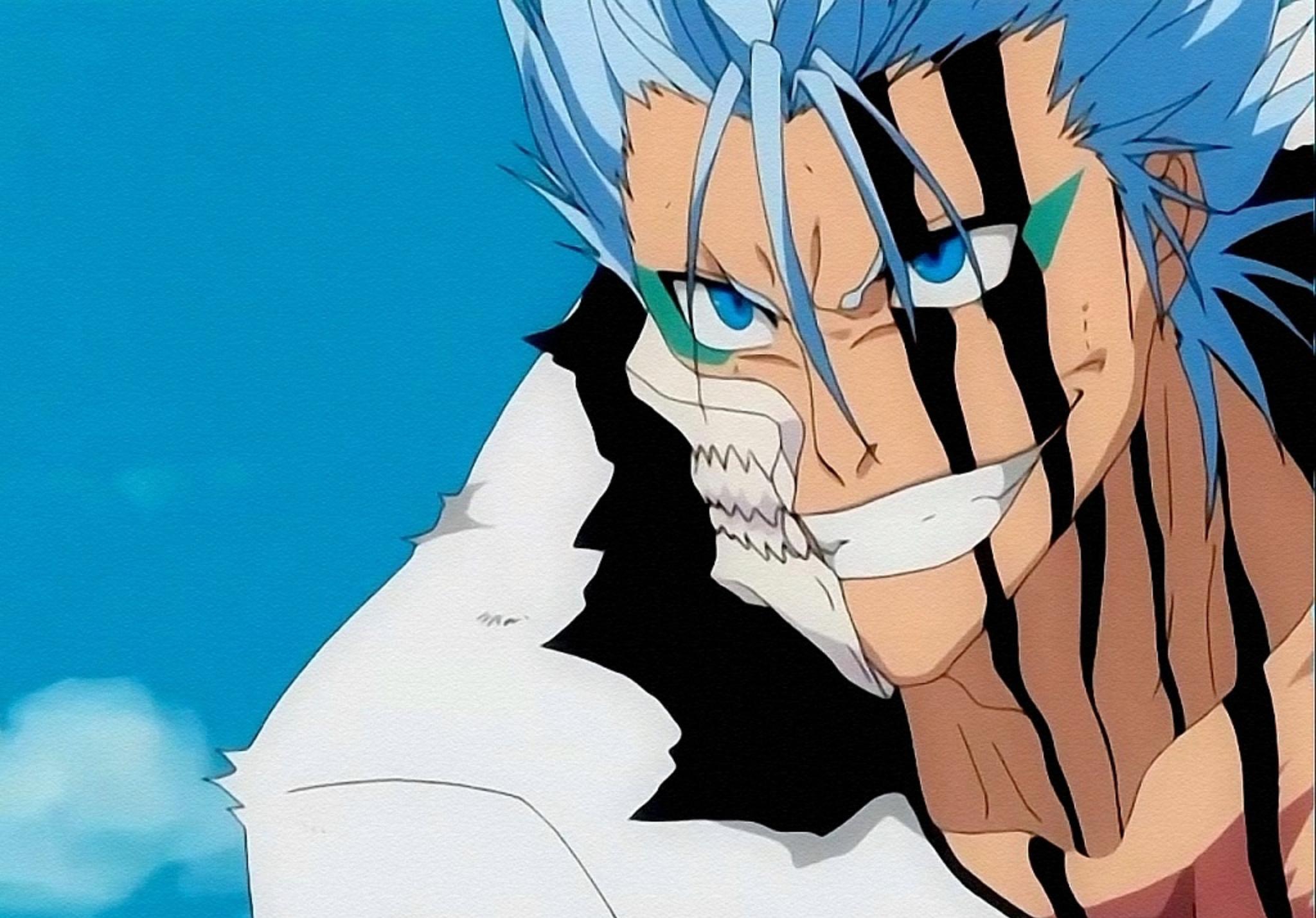 Bleach Grimmjow - HD Wallpaper 