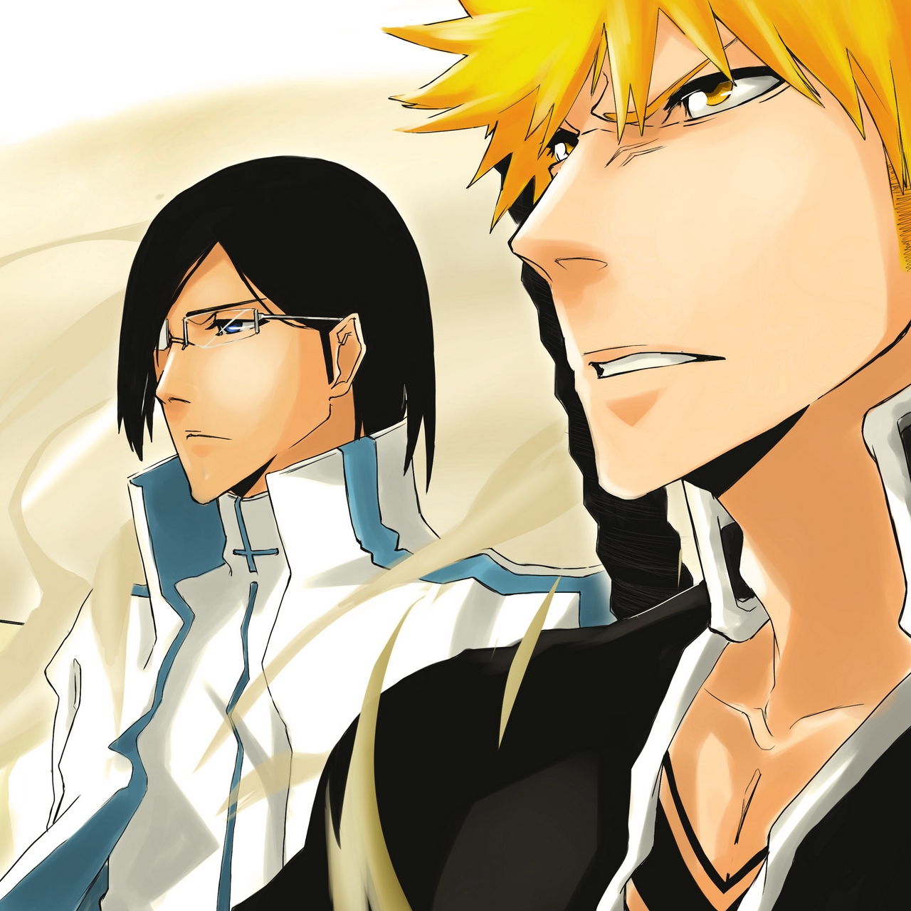 Wallpaper Bleach, Ichigo Kurosaki, Shinigami, Grimmjow - Bleach Ichigo And Grimmjow - HD Wallpaper 