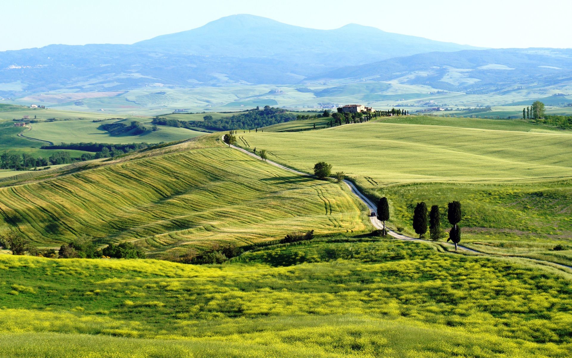 1920x1200, Tuscany Images - Terrapille Toscane - HD Wallpaper 