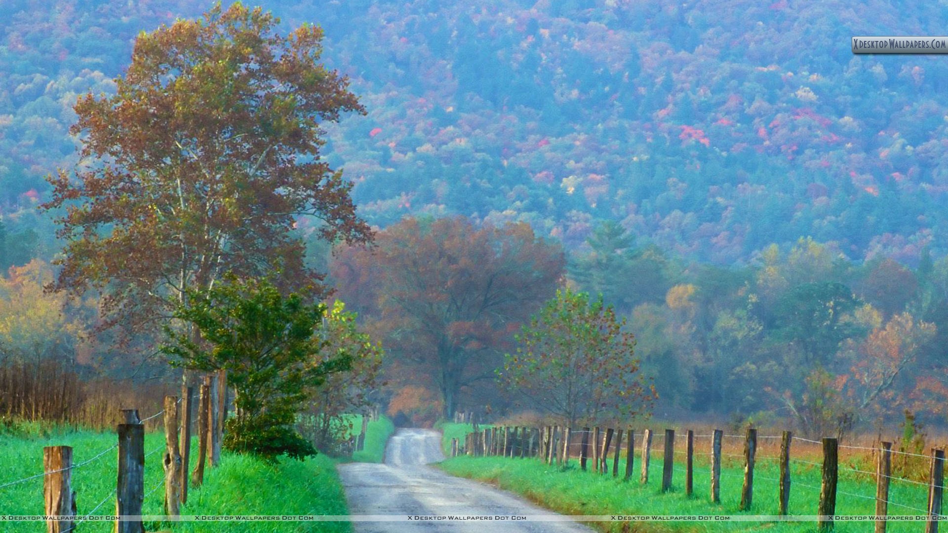 , Great Smoky Mountains National Park, Tennessee Wallpaper - Desktop Wallpaper Smoky Mountains - HD Wallpaper 