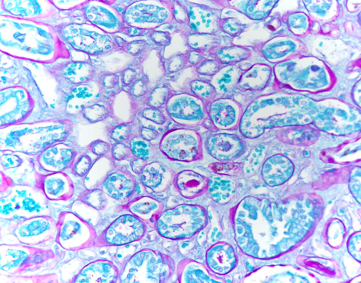 Circle - HD Wallpaper 